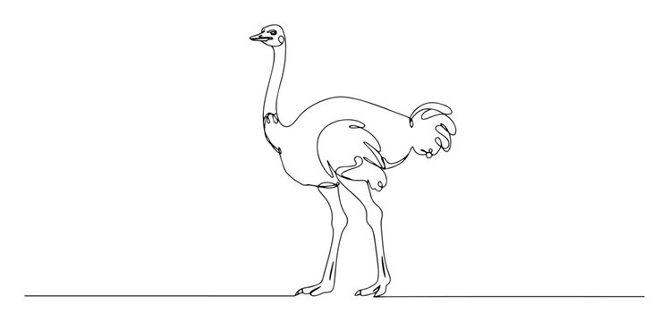 ostrich bird standing profile engraving oneline vector