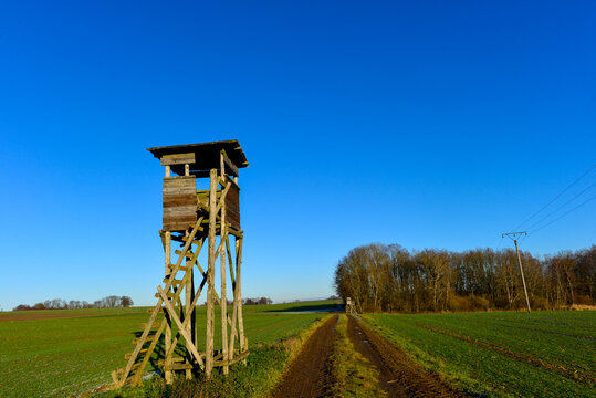 Hochsitz im Naturschutzgebiet Stauwurzel des Gro&szlig;en Weihers in Spielberg-Brachttal, Main-Kinzig-Kreis (Hessen)