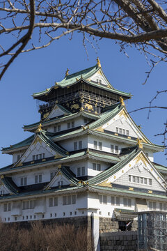 View of the historic Osaka Castle featuring multi-tiered green roofs and golden ornaments against a clear blue sky framed by bare tree branches Osaka, Osaka, Japan.