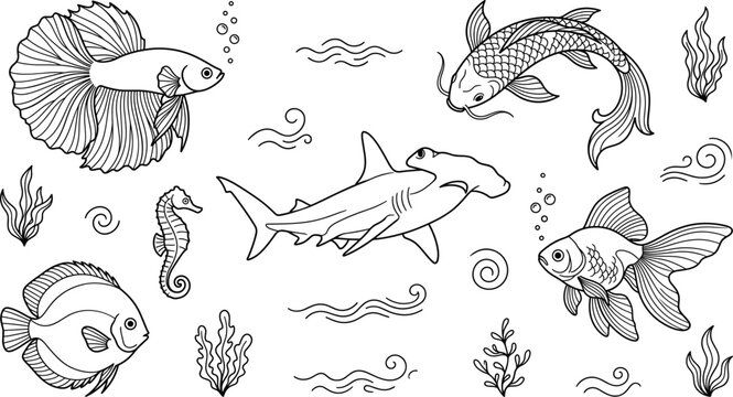 Fish and sea creatures vector outline icon set featuring betta koi hammerhead shark and seahorse design