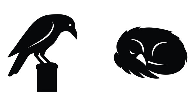 Black raven silhouette and curled bird shape on a white background a minimalist avian design corvid crow feather form