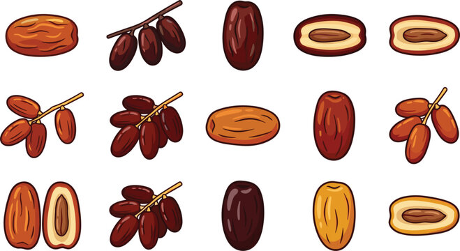 Dried Dates Fruit Vector Set with Whole Date Palms Branches Halves and Pit Seed Cartoon Illustrations