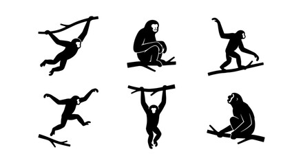 Gibbon Monkey Silhouettes, Primate Poses Vector Set, Swinging Ape Icons, Jungle Animal Graphics, Black and White Vector Art © Farhana