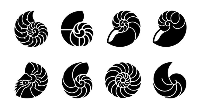 Nautilus Shell Icons, Marine Life Vector Graphics, Spiral Seashell Silhouettes, Oceanographic Art Elements