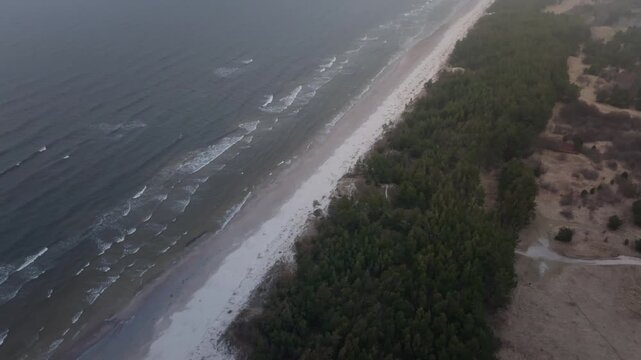 Aerial drone glides along a pale sand beach beside a pine forest and dune plain. Waves break in lines, tracks cut vegetation, and late day light reveals erosion patterns.