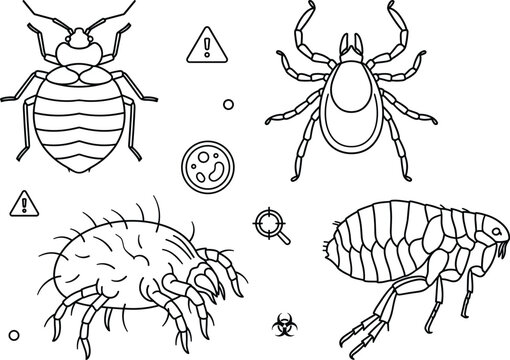 Pest parasite insects icon set vector line art outline bedbug tick flea dust mite pest control