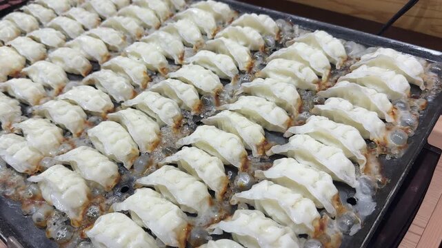 Fake plastic gyozas potstickers for display at a restaurant in Japan