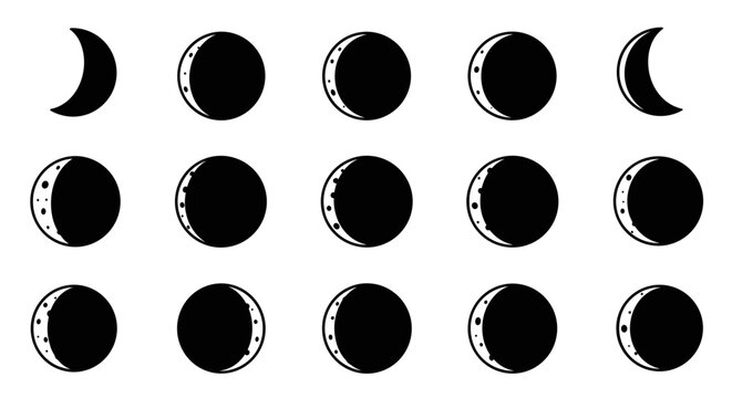 Moon Phases Cycle Celestial Body Astronomy Science Vector Illustration