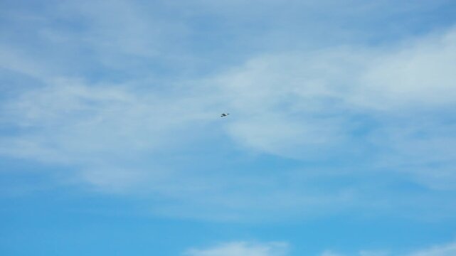 White seagull flying against blue sky with white wispy clouds