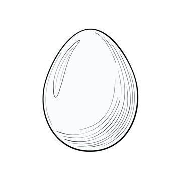 Simple Line Art Drawing of a Single Egg with Hatching Detail