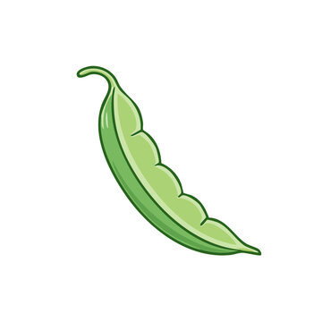 Vibrant illustration of a single green pea pod, fresh and ready for harvest, with a curved stem.