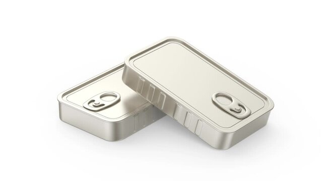 Two blank sardine cans on white background
