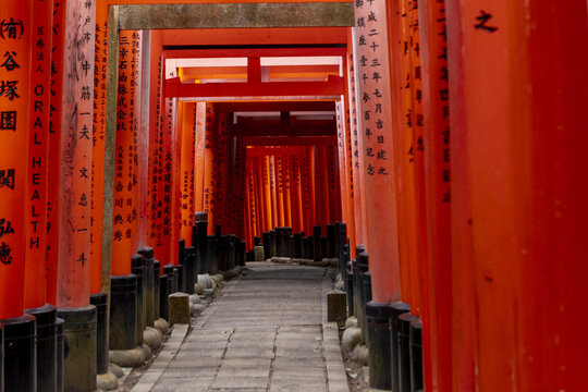 View of the iconic Senbon Torii with vibrant orange gates creating a tunnel over a stone path at Fushimi Inari-taisha shrine Kyoto, Kyoto, Japan.