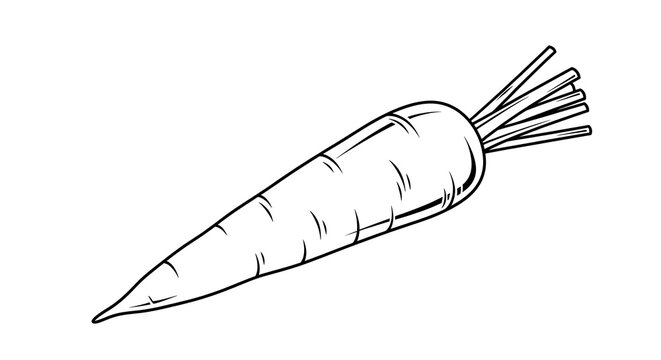 Black and white carrot illustration on white background