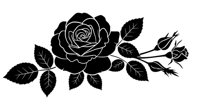 Black silhouette of rose. Vector illustration of black silhouette of rose with rosebud and leaves on a white background. JPEG version.