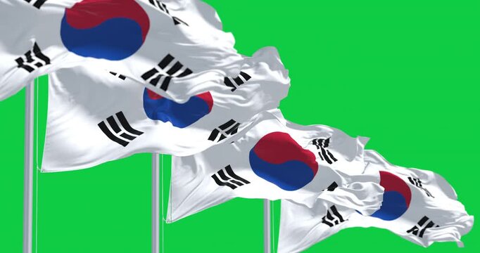 South Korea national flags waving isolated on green background