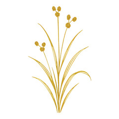 Obraz premium PNG Elegant golden botanical illustration.