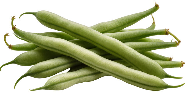 Isolated fresh raw organic green string beans pile, healthy vegetable food ingredient