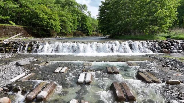 Clear water flows over smooth stones in forested stream. Ripples splash around wooden logs, creating gentle white foam. Lush green trees frame the waterfall, offering natural serenity