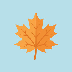 Fototapeta premium A single orange maple leaf isolated on a light blue background