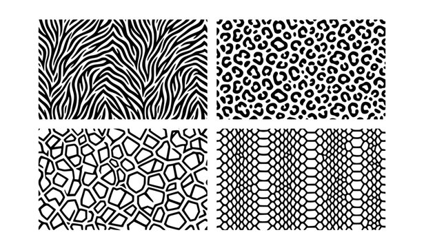 Monochrome Animal Skin Textures Collection with Seamless Zebra Pattern Wild Leopard Spots Giraffe Print and Reptile Scale Vector Background Designs