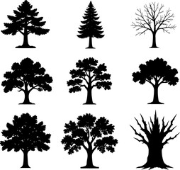 Fototapeta premium Set of Diverse Tree Silhouettes, Tropical and Forest Tree Icons Including Palm and Cactus Isolated on White