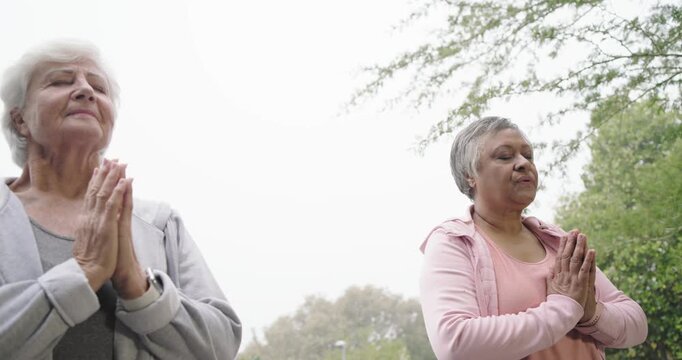 Diverse women echoing pink zip-hoodie woman starting meditation pressing palms on lawn with tracker