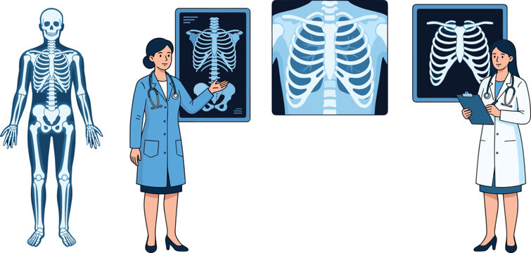 Medical radiology vector illustration set featuring female doctors pointing to human skeleton and rib cage xray scans