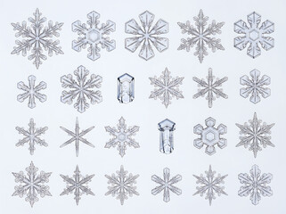 Fototapeta premium Diverse collection of detailed snowflake designs and ice crystal shapes isolated on a white background for winter and holiday seasonal design graphics