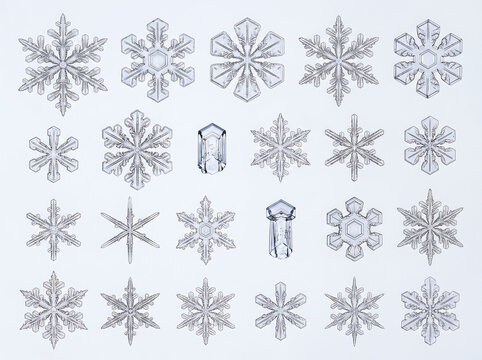 Diverse collection of detailed snowflake designs and ice crystal shapes isolated on a white background for winter and holiday seasonal design graphics