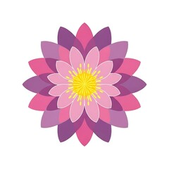 Fototapeta premium Vibrant purple and pink flower with yellow center.