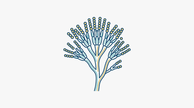 Microscopic view of Penicillium fungus structure.