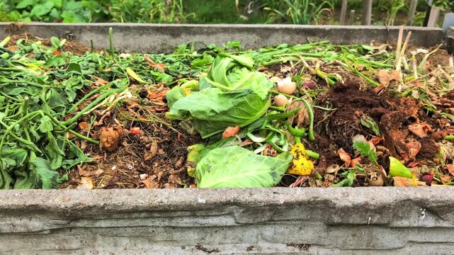 Garden compost bin with organic biodegradable waste. Close up of decomposing kitchen food scraps, vegetable peels and green grass recycling in a concrete composting container.
