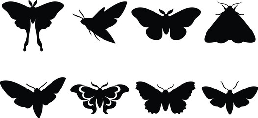 Moth and Butterfly Silhouette Collection with Flying Insect Vector Illustrations © MDRAKIB