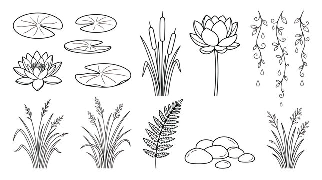 Minimalist pond plant line art collection, hand drawn aquatic flora and lotus flower vector set, botanical pond life illustrations for coloring