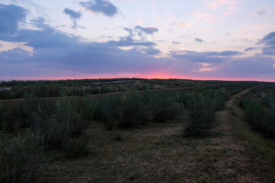 Field Scenery of Shenchi County, Xinzhou City, Shanxi Province, China