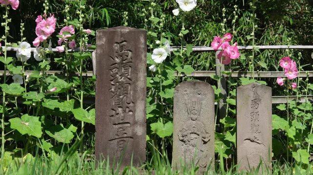立葵と馬頭観音