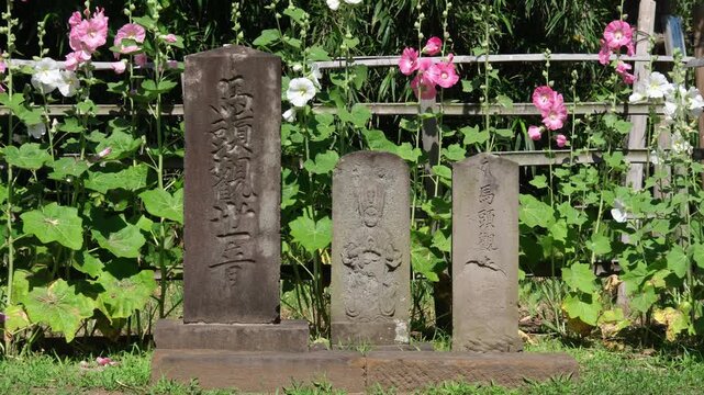 立葵と石像