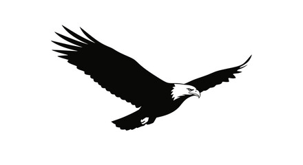 Fototapeta premium Black eagle flying, silhouette bird, winged animal, wildlife icon Vector