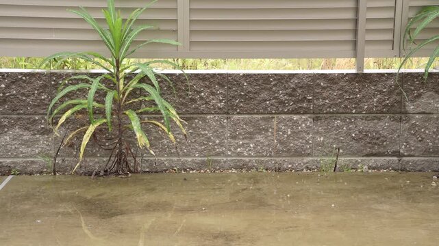 <日常>雨が降っている外の様子