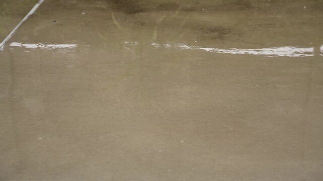 雨が降っている様子