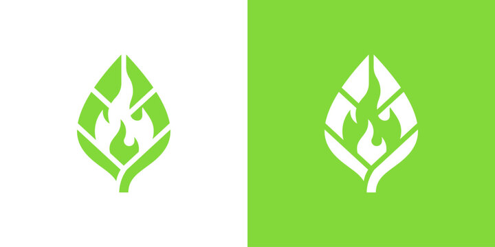 logo design leaf and fire, design vector icon idea