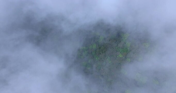 seongjusan, boryeong, south korea, aerial view, drone shot, hyperlapse, timelapse, mountain fog, mist, misty morning, cloudy sky, fast motion, atmospheric, majestic nature, serene landscape, pine tree