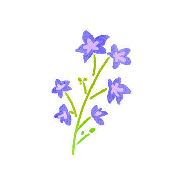 スタンプ風の千鳥草