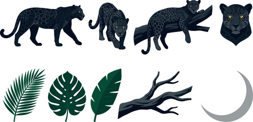 Black Panther and Jaguar Vector Set featuring Wild Cat Poses, Monstera Palm Leaves, Tree Branches, and Crescent Moon Elements for Jungle Designs © MdFaruk