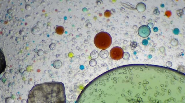  Colorful Oil and Water Mixed Bubbles Abstract Macro Texture
