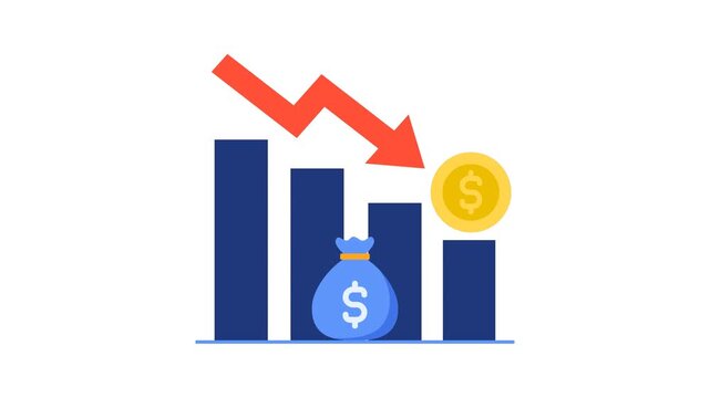 Animated financial crisis bar chart illustrating money loss