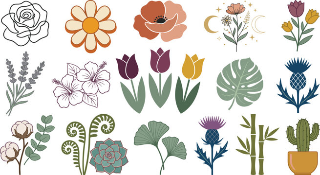 Boho botanical elements vector set with 15 isolated retro daisy celestial wildflower tulip and thistle graphics