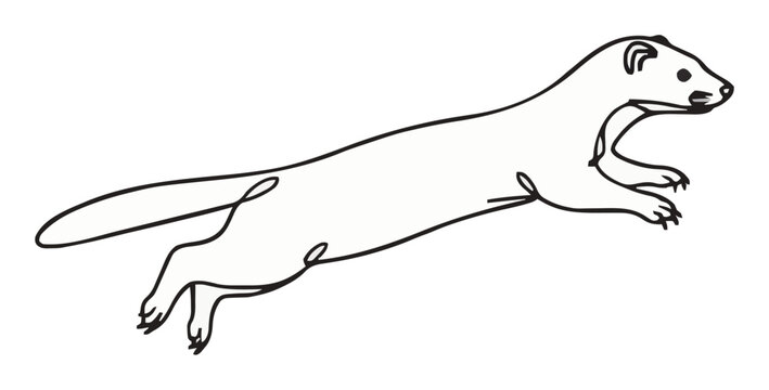Domestic ferret jumping line art perspective icon. Generative AI