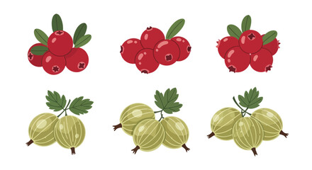 Fresh red cranberries and green gooseberries berry set. © yanto